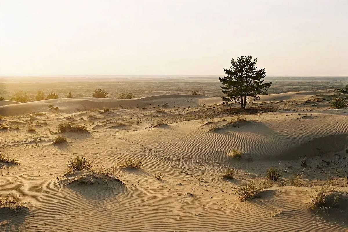 8 цікавих фактів про Олешківські піски