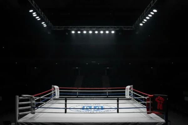 Вайлдер готовий зустрітися з Усиком у бою, вбачаючи в цьому можливість створення історії боксу