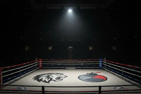 Чісора висловив бажання організувати реванш з Вайлдером в найближчому майбутньому